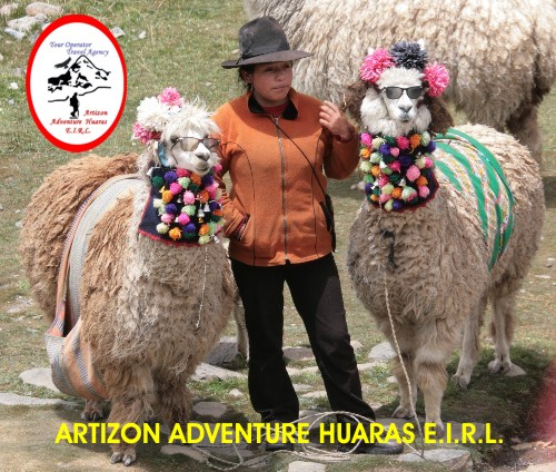 ALPAMACAS - TOURS PASTORURI